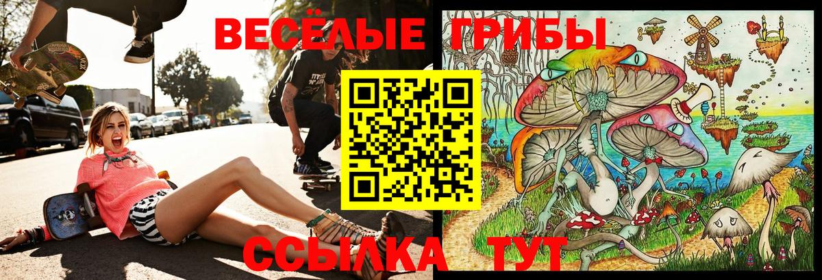 Галлюциногенные грибы мухоморы Сочи